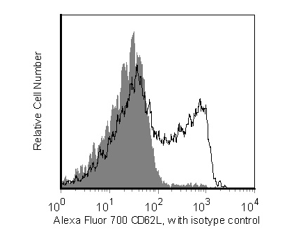560517_IMAGE1.png